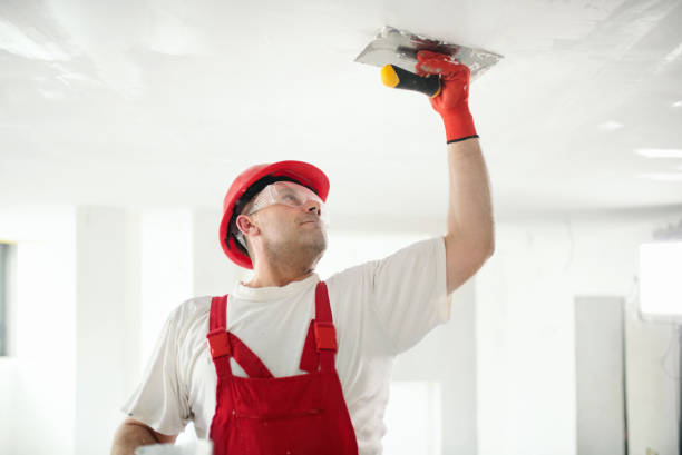 Trusted Lacey, WA Dry wall and painting Experts